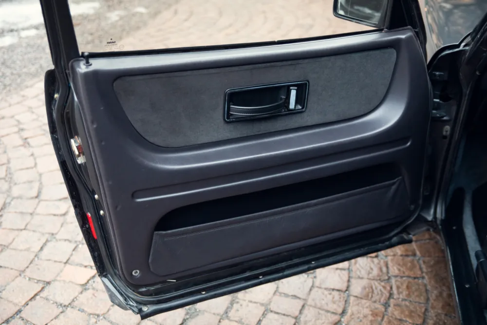 Open car door interior panel with handle