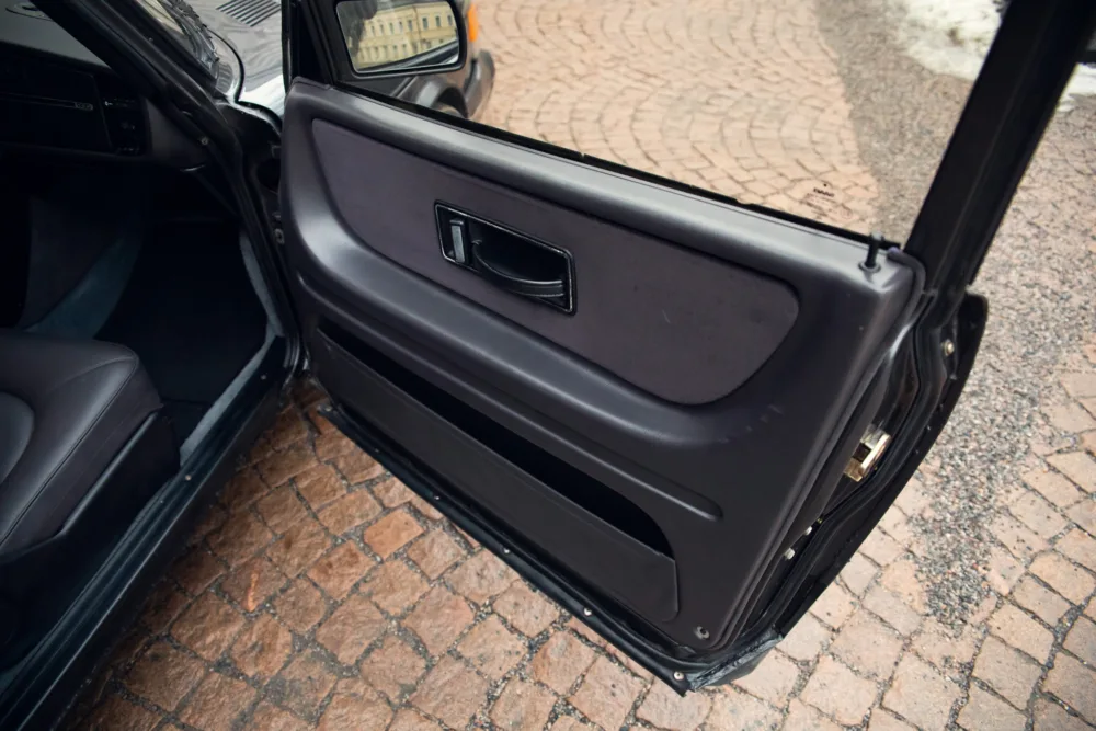 Open car door interior view showing panel and handle.