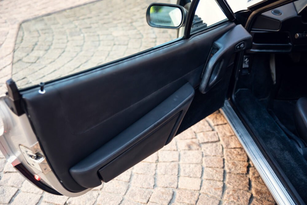 Close-up of open car door interior, elegant design.