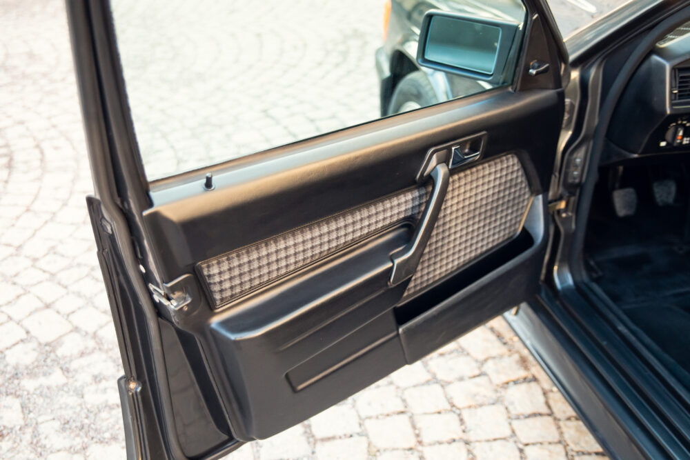 Open car door showing interior and panel details