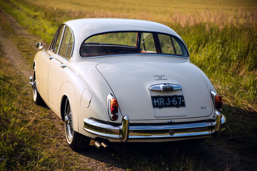 Vintage white Jaguar car on grassy field
