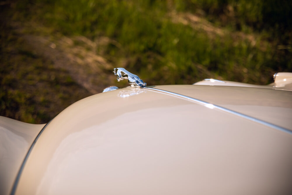 Vintage car hood with chrome jaguar ornament