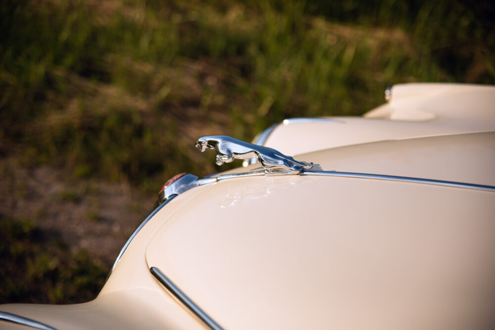 Vintage car hood with chrome jaguar emblem