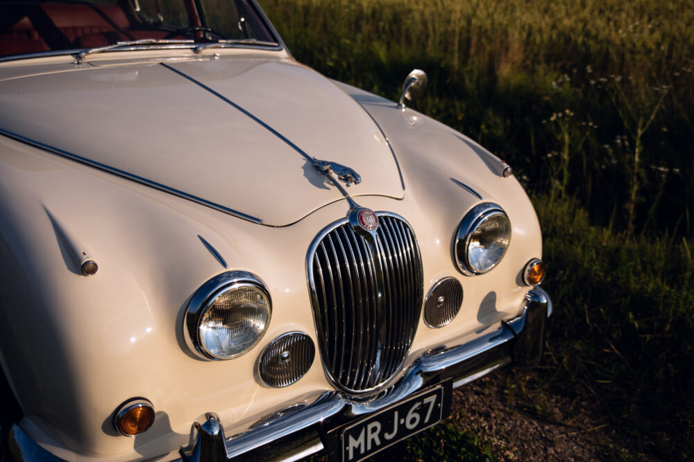 Vintage white Jaguar car with emblem in grassy field