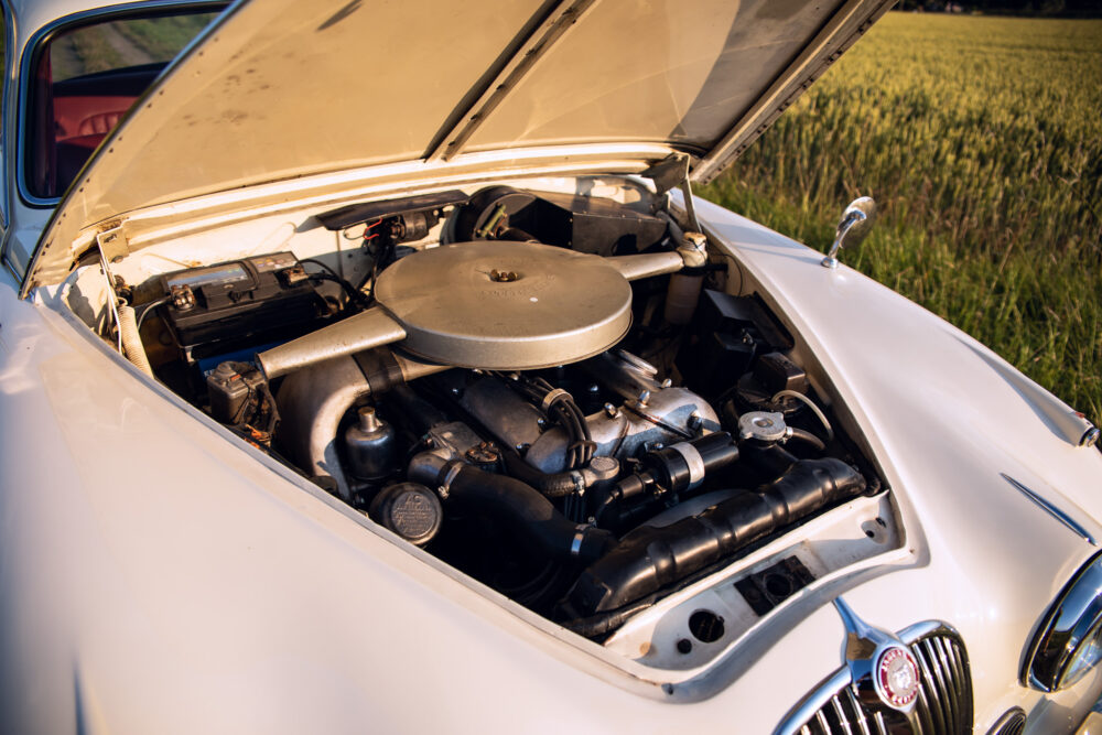 Vintage car's open hood revealing detailed engine components