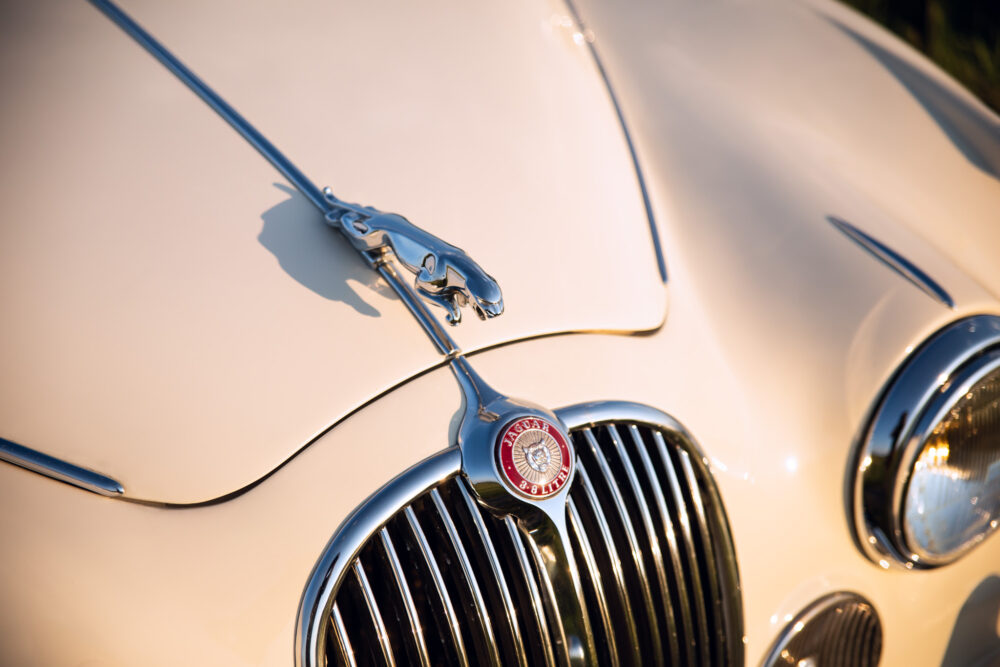 Close-up of vintage Jaguar car hood and emblem