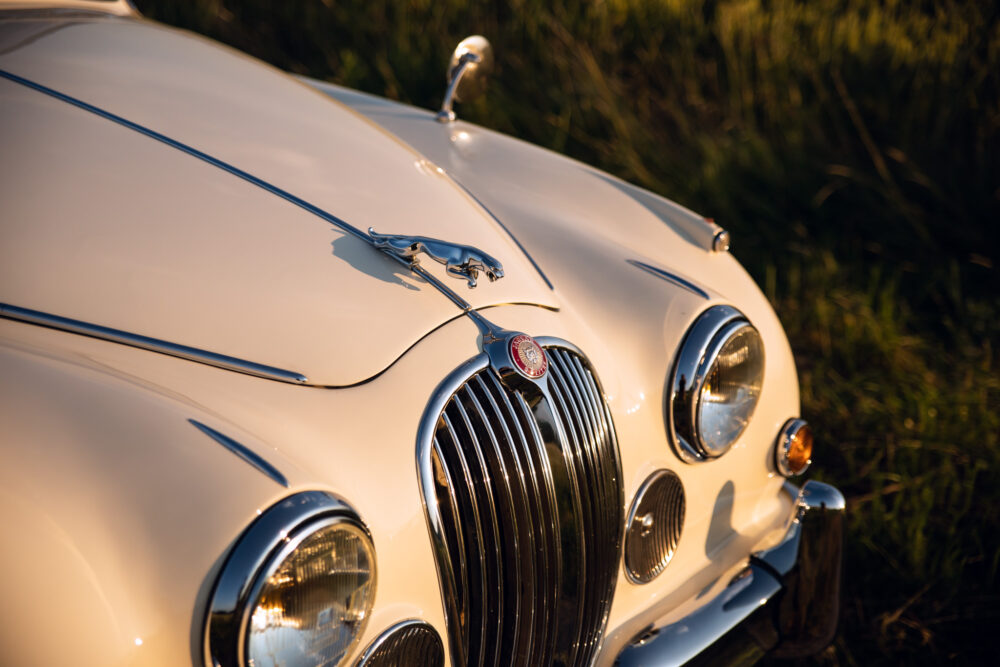 Vintage Jaguar car hood and emblem at sunset