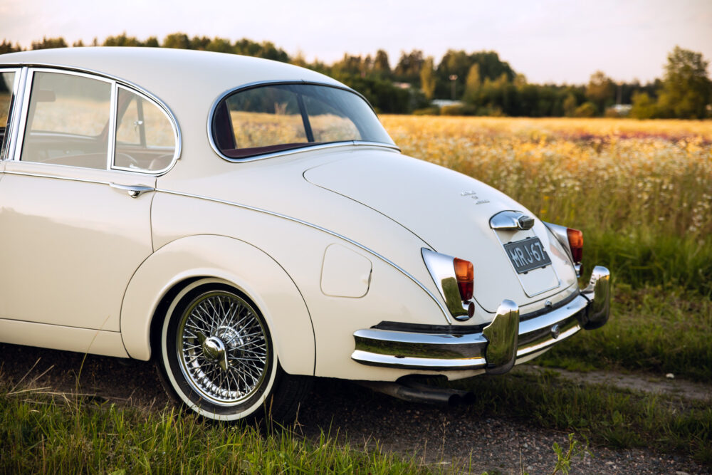Vintage white car parked by a flower field