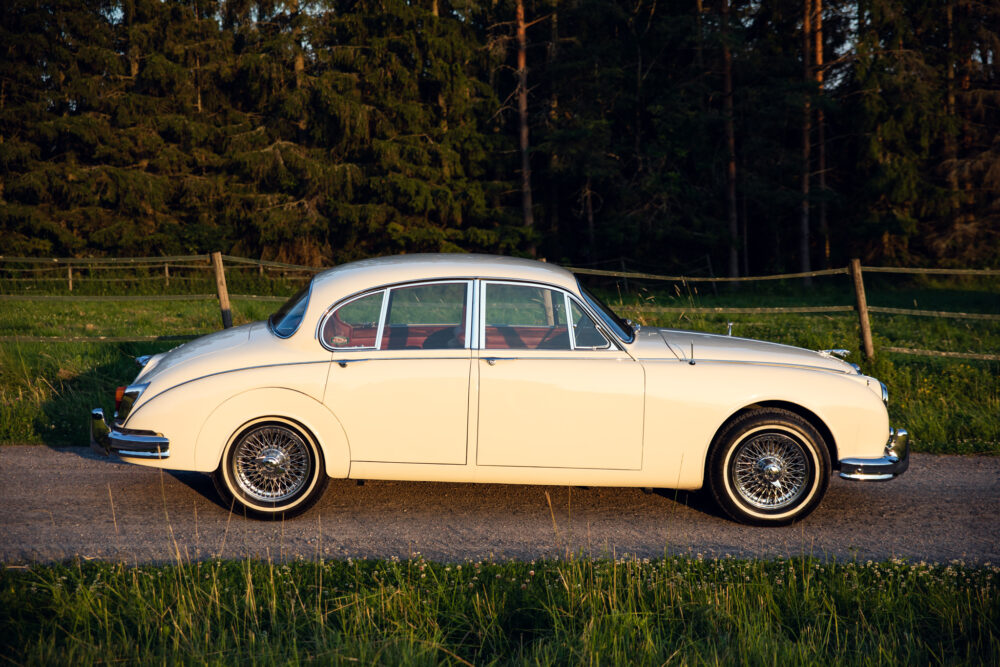 Vintage cream car parked beside forest