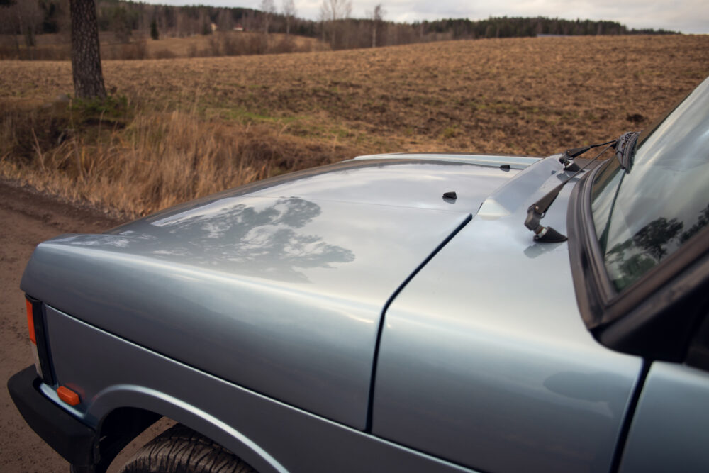 Vintage car hood reflecting trees on rural road