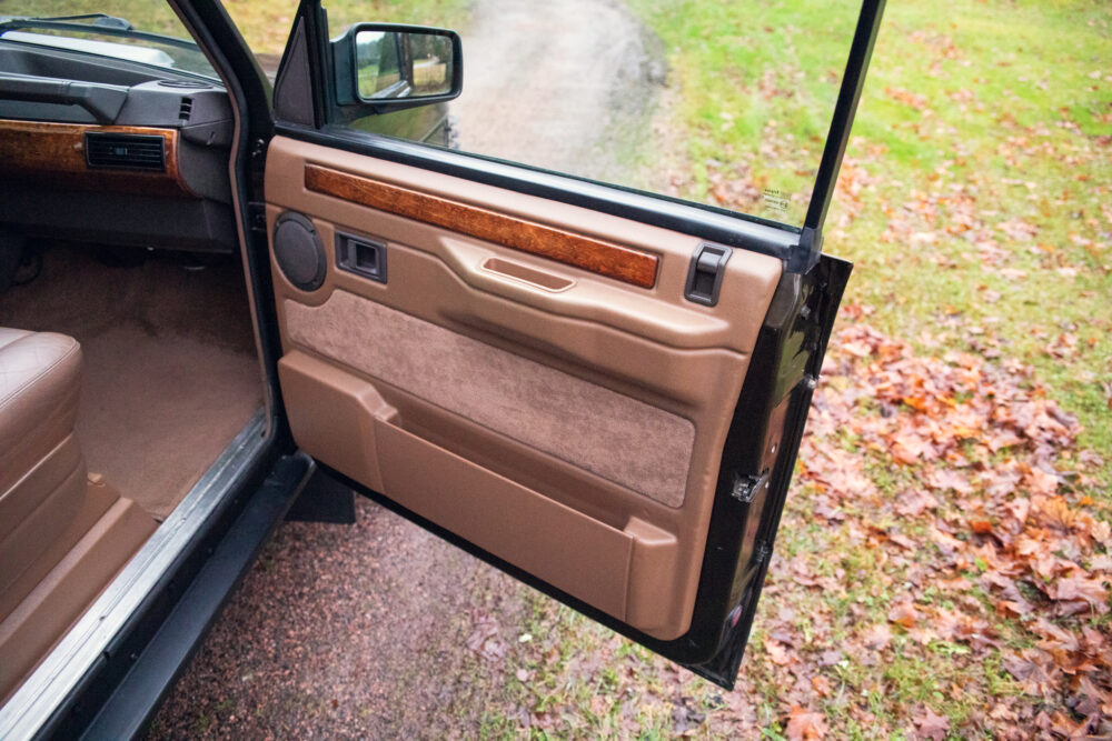 Open car door revealing interior and autumn leaves