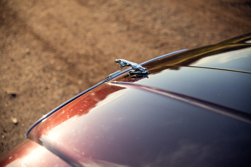 Jaguar hood ornament on classic car